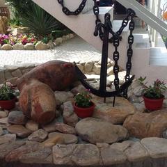 Отель Адмирал, Анапа, Краснодарский край