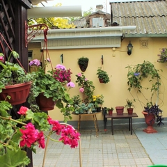 Гостевой дом Ася, Анапа, Краснодарский край