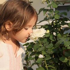 Гостевой дом Александрия, Супсех, Краснодарский край