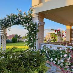 Гостевой дом Александрия, Супсех, Краснодарский край