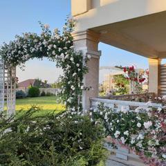 Гостевой дом Александрия, Супсех, Краснодарский край