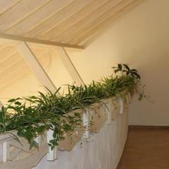 Гостевой дом Александрия, Супсех, Краснодарский край