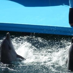 Отель Центральная, Анапа, Краснодарский край