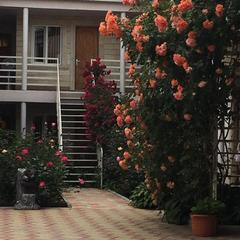 Гостевой дом Сусанна, Анапа, Краснодарский край