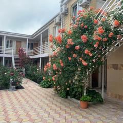 Гостевой дом Сусанна, Анапа, Краснодарский край