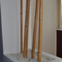 Хостел WWW, Анапа, Краснодарский край