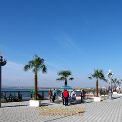 Отель Ардо, Анапа, Краснодарский край