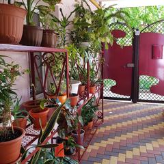 Гостиница Ольга, Анапа, Краснодарский край