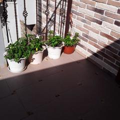 Отель Улыбка, Анапа, Краснодарский край