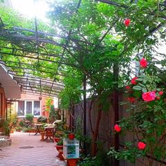 Гостевой дом Катерина, Анапа, Краснодарский край