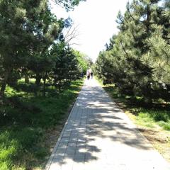 Гостевой дом У Маяка на Крепостной, Анапа, Краснодарский край