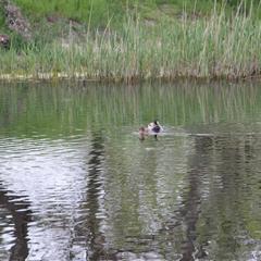 Мотель Катамаран, Анапа, Краснодарский край