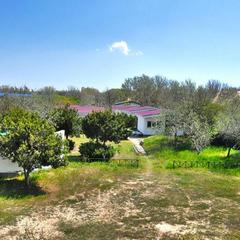 Комплекс отдыха Dinamo 1 Holiday Park, Анапа, Краснодарский край