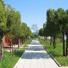 Комплекс отдыха Dinamo 1 Holiday Park, Анапа, Краснодарский край