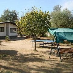 Комплекс отдыха Dinamo 1 Holiday Park, Анапа, Краснодарский край