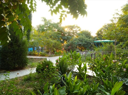 Охта — фото 4