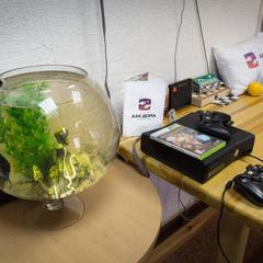 Хостел Как дома, Ангарск, Иркутская область