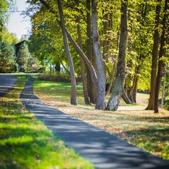 Клуб отдыха Лужки, Аносино, Московская область