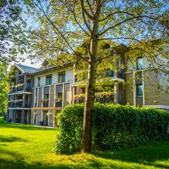 Клуб отдыха Лужки, Аносино, Московская область