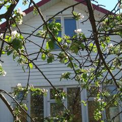 Загородный дом Summer house, Аносино, Московская область