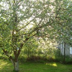 Загородный дом Summer house, Аносино, Московская область