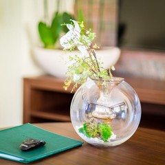 Клуб отдыха Лужки, Аносино, Московская область