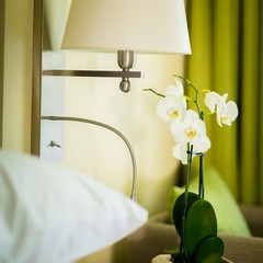 Клуб отдыха Лужки, Аносино, Московская область