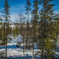 База отдыха Экостровская, Апатиты, Мурманская область