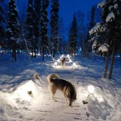 База отдыха Экостровская, Апатиты, Мурманская область