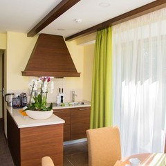 Клуб отдыха Лужки, Аносино, Московская область