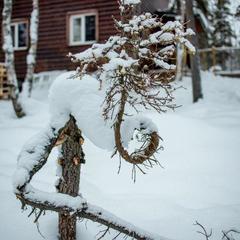 База отдыха Экостровская, Апатиты, Мурманская область
