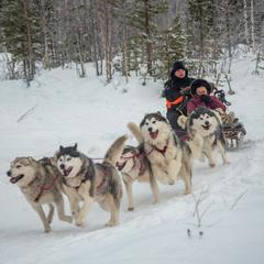 База отдыха Экостровская, Апатиты, Мурманская область