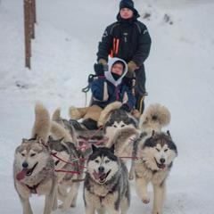 База отдыха Экостровская, Апатиты, Мурманская область