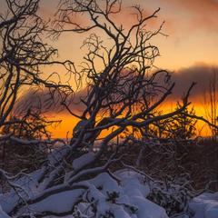 База отдыха Экостровская, Апатиты, Мурманская область