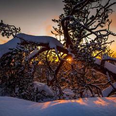 База отдыха Экостровская, Апатиты, Мурманская область