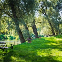 Клуб отдыха Лужки, Аносино, Московская область