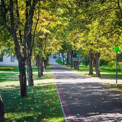 Клуб отдыха Лужки, Аносино, Московская область