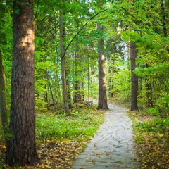 Клуб отдыха Лужки, Аносино, Московская область