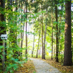 Клуб отдыха Лужки, Аносино, Московская область