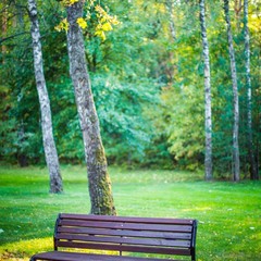 Клуб отдыха Лужки, Аносино, Московская область