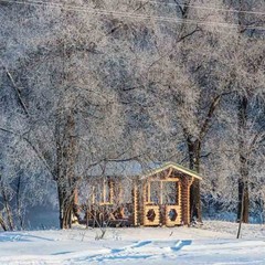 Клуб отдыха Лужки, Аносино, Московская область