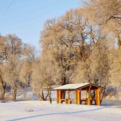 Клуб отдыха Лужки, Аносино, Московская область