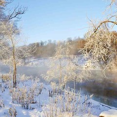 Клуб отдыха Лужки, Аносино, Московская область