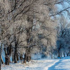 Клуб отдыха Лужки, Аносино, Московская область