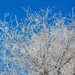 Клуб отдыха Лужки, Аносино, Московская область