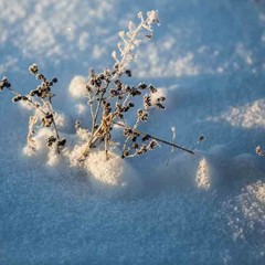 Клуб отдыха Лужки, Аносино, Московская область