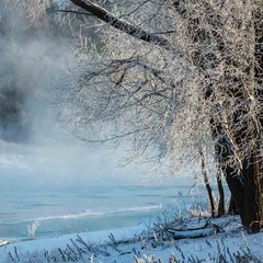 Клуб отдыха Лужки, Аносино, Московская область