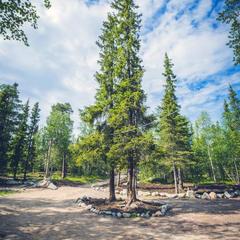 База отдыха Экостровская, Апатиты, Мурманская область