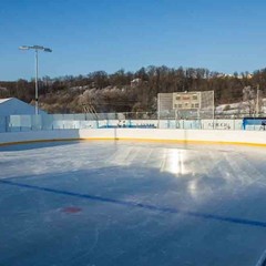 Клуб отдыха Лужки, Аносино, Московская область