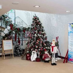 Клуб отдыха Лужки, Аносино, Московская область